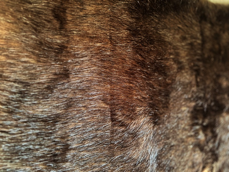 Tkanina Futerko Dekoracyjne. Miękkie Sztuczne Futro. Idealne na Stroje, Dekoracje i Maskotki