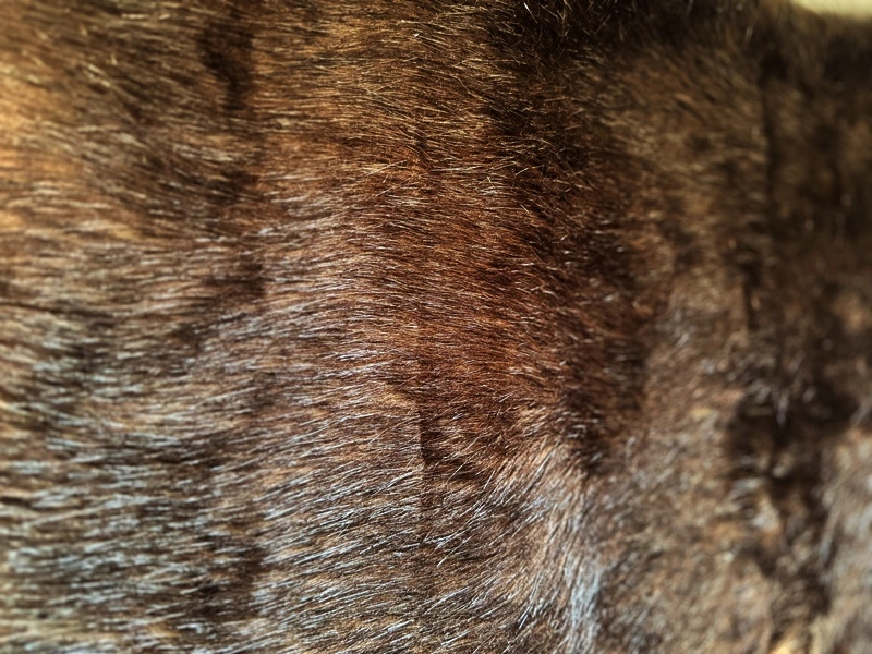 Ekoskóra Pikowana Karo 2 cm z Podbitką z Owaty. pol_pl_Tkanina-plamoodporna-kremowa-w-delikatny-wzor-w-kreseczki-410_3